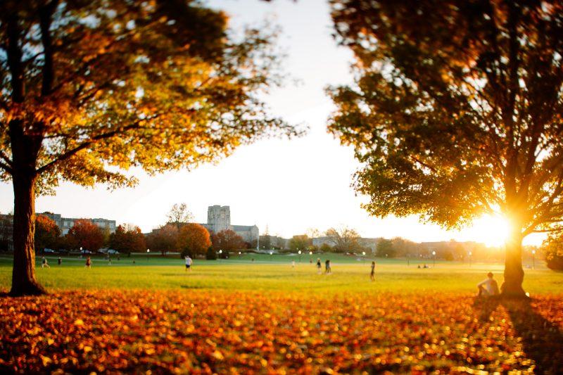 A student sits on a leaf-littered Drillfield, adorned by the colors of autumn